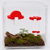 Magnetic Jumping Spider  Platform Cloud-shaped Climbing Ladder for Spider Terrarium  Vivarium