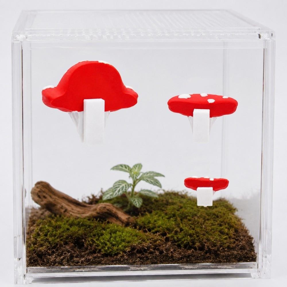 Magnetic Jumping Spider  Platform Cloud-shaped Climbing Ladder for Spider Terrarium  Vivarium