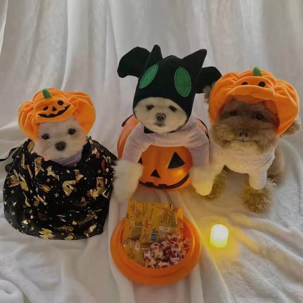 Adjustable Pet Pumpkin Hat Halloween Pet Pumpkin Cap Creativity Cat Pumpkin Headwear