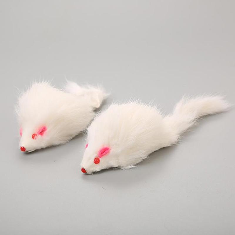 white mouse cat toy