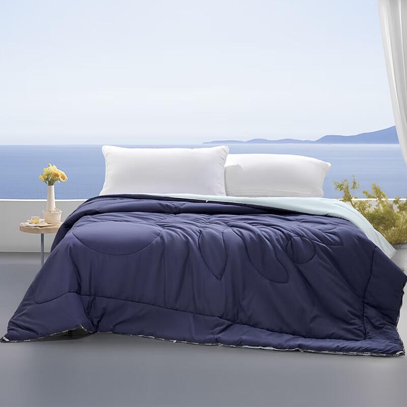 Mercury Home Textiles All-Season Washable Polyester Quilt