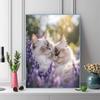 Ragdoll cat Pattern  3pcs 100% Round Full Drill 5D DIY Diamond Painting Embroidery Cross Stitch Rhinestone Décor