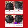 Fish Traps Pinfish Trap Portable Cage Accessories Net for Shrimping Boat Beach Aquarium Turtle Lake Outdoor Crayfish