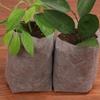 Non-woven Nursery Bag Plant Bag Nursery Cup Thickened Container Pot Horticultural Planting Bag 100pc