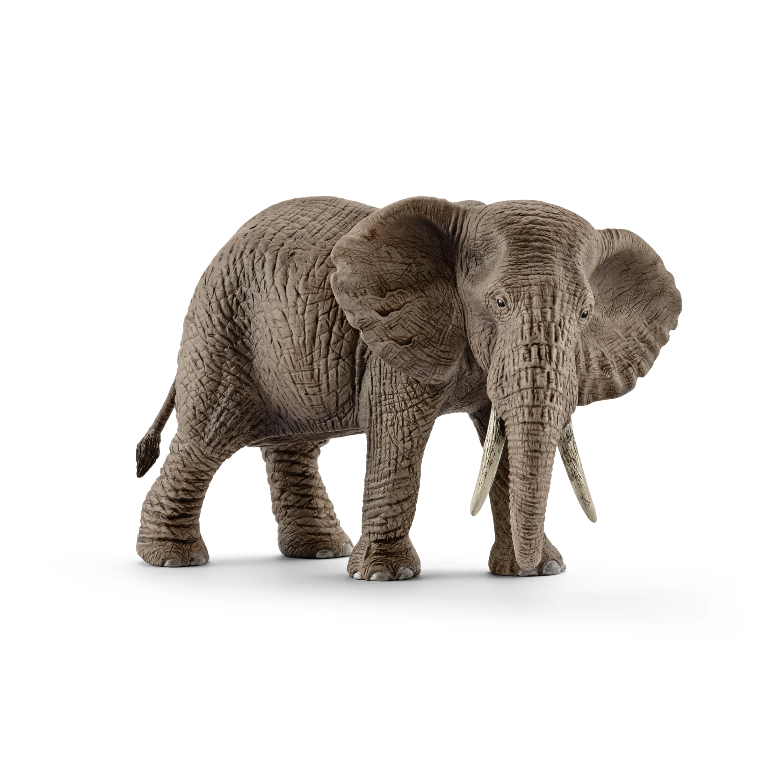 

Schleich Wildlife African Elephant Figure 14761 (Female)
