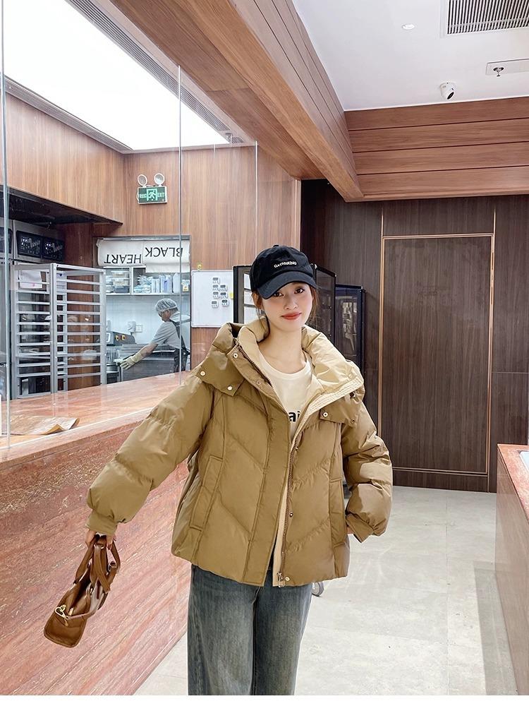 Down jacket women's winter 2024 new small short fashionable loose thickened white duck down high-end foreign style jacket