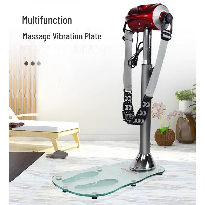 KangLeJia K302CH-2 Waist Slimming Vibration Machine