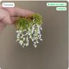 Women's Fashion Earrings for Casual Daily Wear