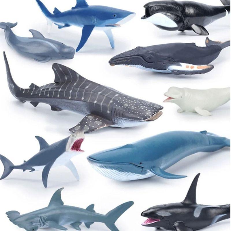 Cadeau Animaux Marins Simulation Vie Marine Requin Cachalot Modèle Animal Figurines Baleine Dauphin Marteau PVC Figurines d'Action Océaniques