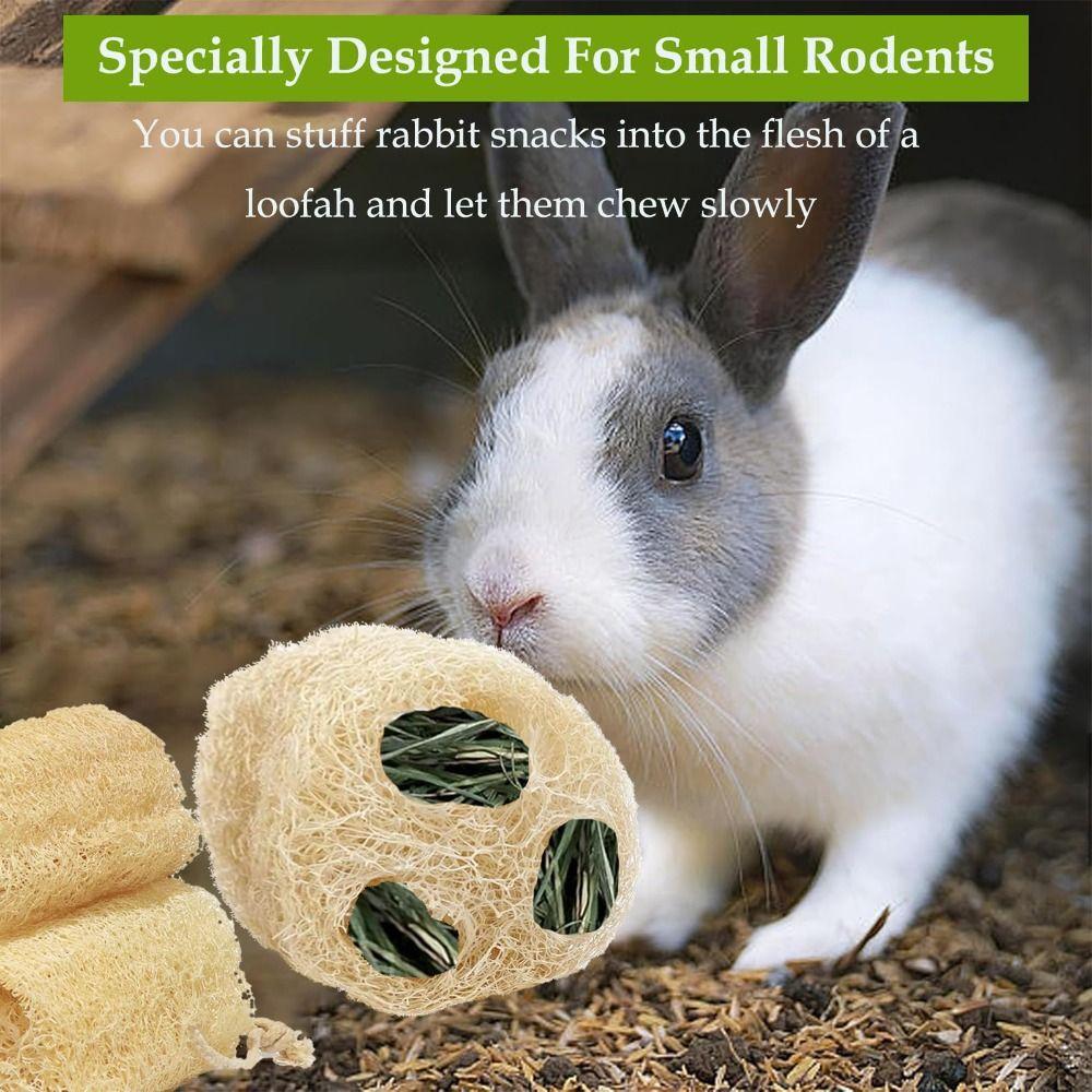 NEW Teeth Cleaning Loofah Toys Fiber-Rich Handmade Rabbit Chew Toys Natural Chewable Texture Hamster Chews Dental Care