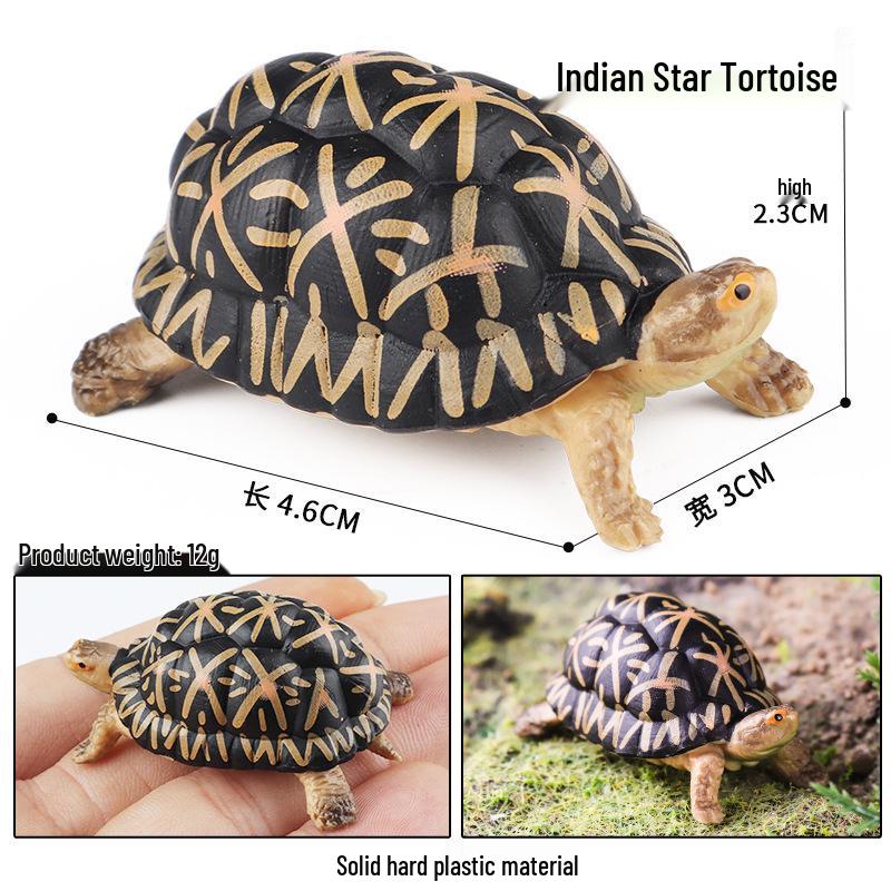 Children's Cognitive Marine Animal Models: Sea Turtle and Tortoise Toys