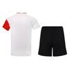 Li Ning Training Sports Quick-Dry Short Sleeve T-Shirt And Shorts Set Men Sets White Black AAYS011-1+ AKSR471-1