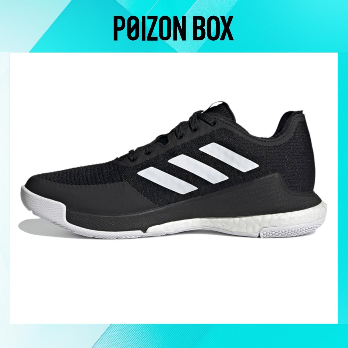 

adidas Crazyflight Volleyball Training shoes Women