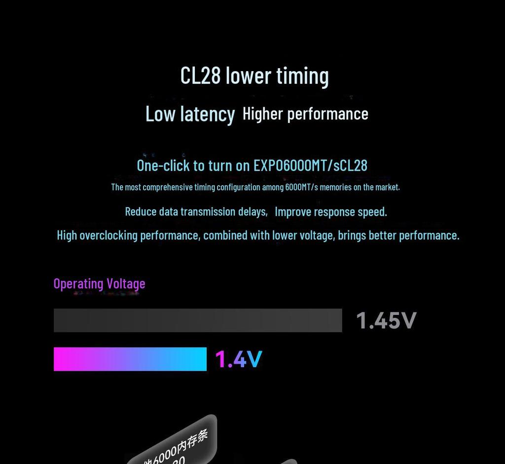 Moduł Pamięci Desktopowej BIW DDR5 6000MHz CL28 DW100 RGB