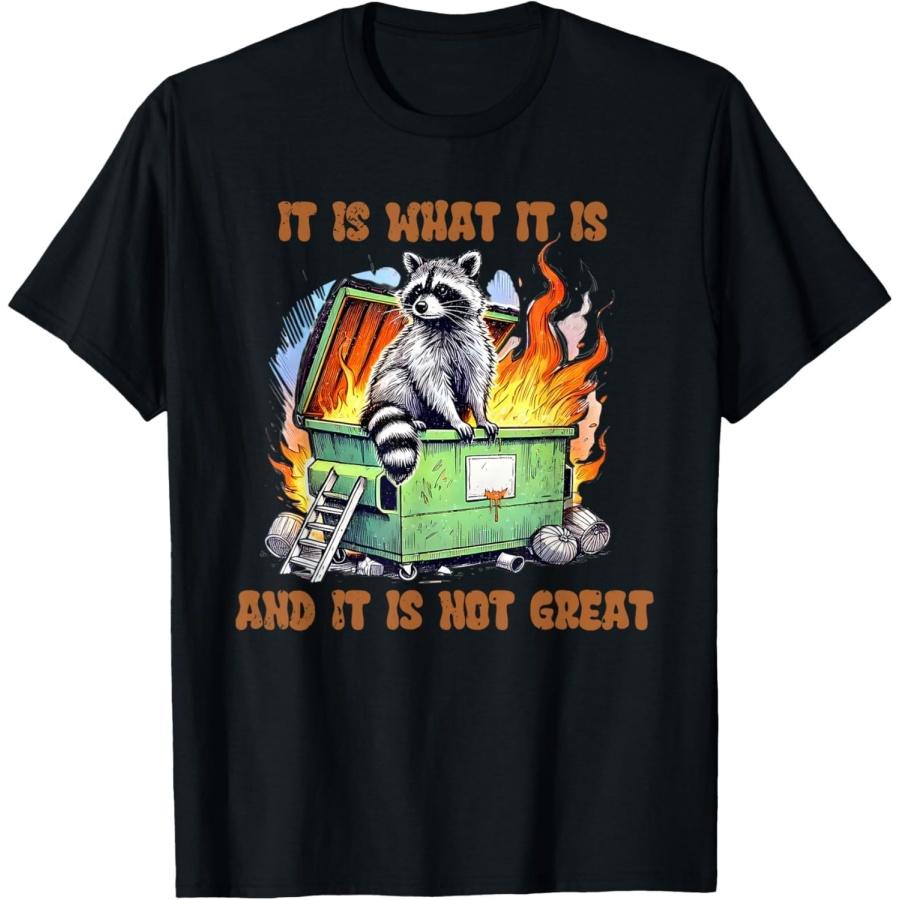 ObRenKi Funny Raccoon Meme It is What It is and It is Not Great T-Shirt XXXXXL разноцветный