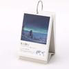 Iroha Publishing 365-Day World Tour Scenic View Daily Calendar PAS-POL TH-01 Desktop Type