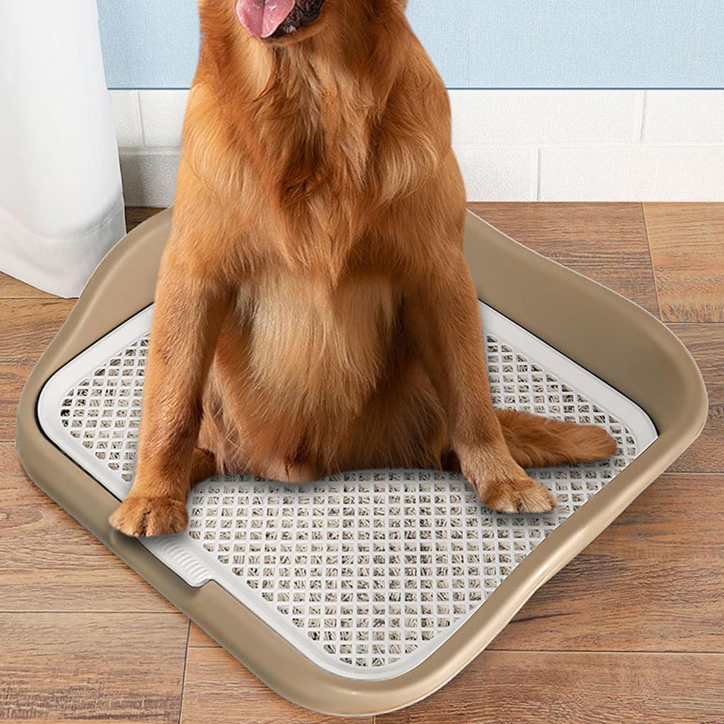 Hunde-Toilettenschale mit erhöhten Zäunen, herausnehmbarem Maschenrost und Pfosten, verhindert Spritzer, großer Platz