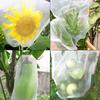 50 Pcs Fruit Bag Protection Insects Bug Net Barrier Bag Mesh Fruit Tree Protection Bags for Tomatoes Apples Grapes Grow Bags
