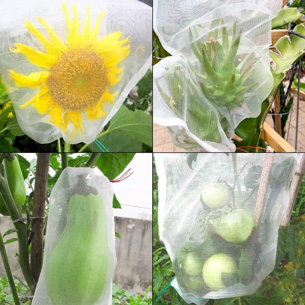 50 Pcs Fruit Bag Protection Insects Bug Net Barrier Bag Mesh Fruit Tree Protection Bags for Tomatoes Apples Grapes Grow Bags