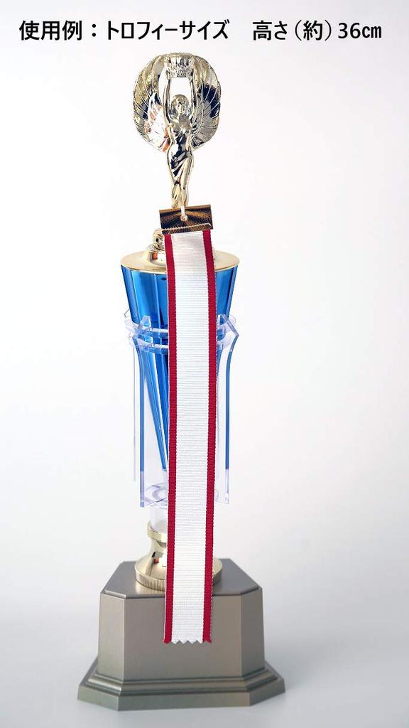 Czerwona Taśma Chorągiewkowa z Selvedge, 2,4 cm x 25 cm (Opakowanie zbiorcze 20 sztuk) z pisakiem odpornym na rozmazywanie. Idealne na Trofea, Puchary, Zwycięzców, Nagrody i Ceremonie.