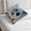 Seal Sea Cute MeMe Square Pillow Case Soft Decorative Throw Pillow Cover for Home Sofa Bed