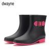 Botas – Botas