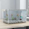 High Clarity Fish Tank & Ecosystem Box for Goldfish, Turtles, Hamsters with Ecological Landscaping Storage