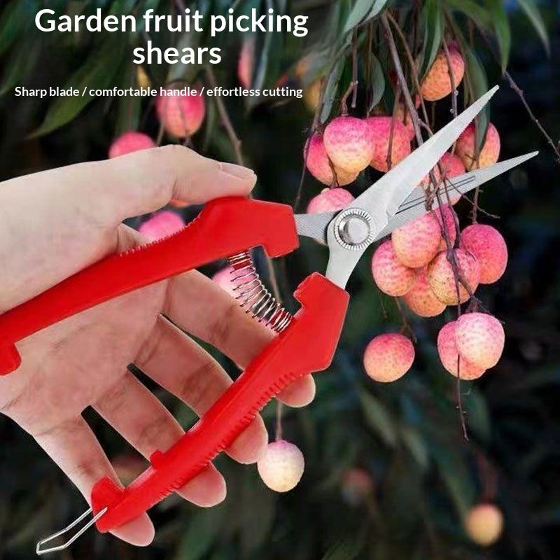 Langlebige Gartenschere Scharfe Edelstahlklingen Rutschfeste Rote Griffe Geeignet für Alle Gartenarbeiten Beschneiden Auslichten