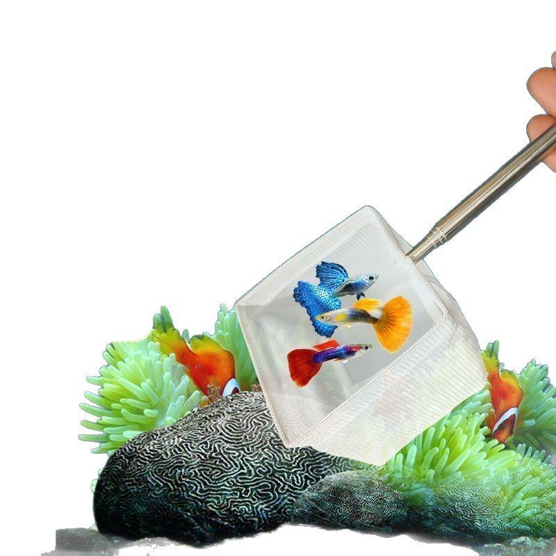 Feinmaschiges Edelstahl-Fischernetz, einziehbar, langlebig, für Aquarium-Fischbecken, Zubehör zum Fangen kleiner Fische