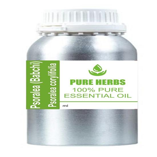 Pure Herbs Psoralea (Babchi) (Psoralea Corylifolia) Essential Oil