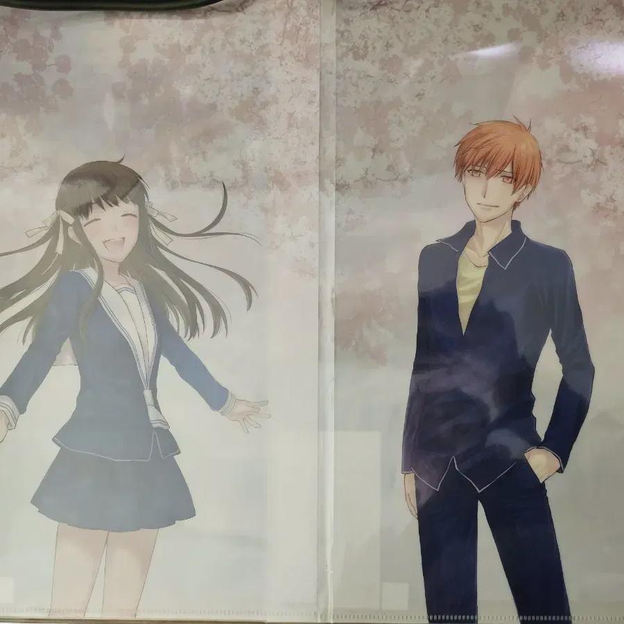 

Корзина с фруктами, окончание, прозрачный файл для продажи