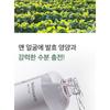 mixsoon - Bean Toner Mini