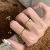 Light Luxury High-Grade Brushed Starry Dot Ring Niche Design Super Flash High Color Retention Real Gold Electroplating Temperament Index Finger Ring
