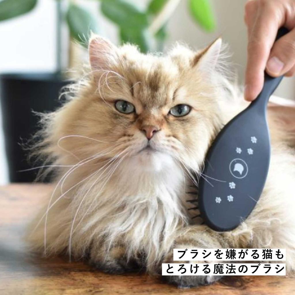Nekoichi A Magical Brush That Melts Even Cats Who Hate Brushes.