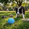 Hunde – Hundespielzeug