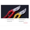 1PC Pruning Shears Fruit Branch Shears Tree Shears, Garden Fruit Trees with Scissors Flower Shears