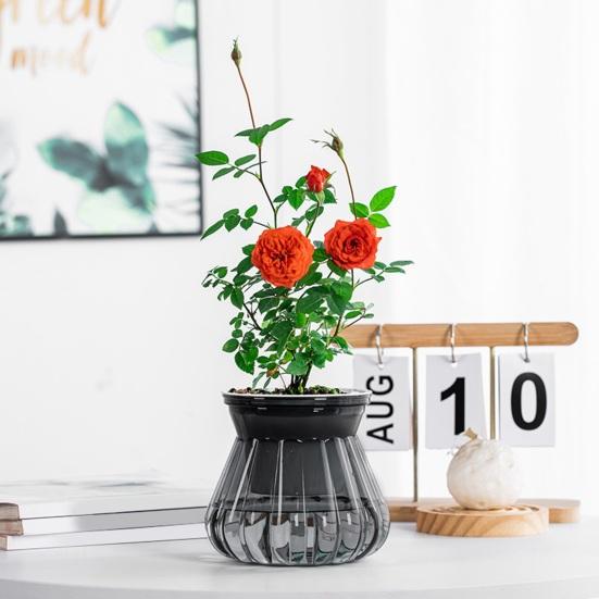 Self-watering Flowerpot with Self-absorbing Cotton Rope Creative Plastic Plant Pot Indoor