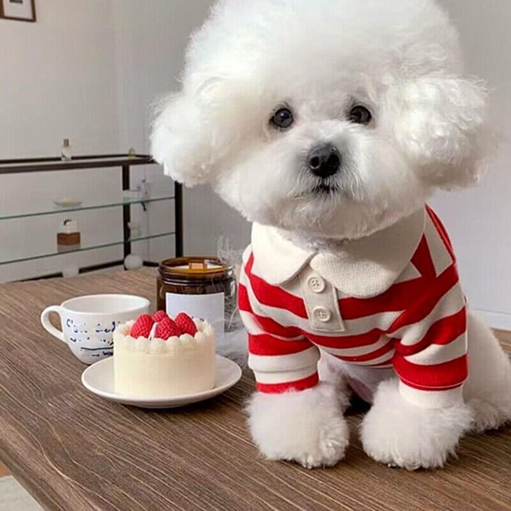 Soft Fabric Small Dog Clothes Shirt Puppy Daily Wear Dog Casual Apparel  Small Breed Puppies