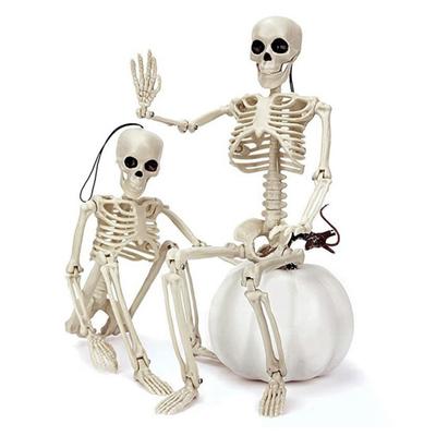 Halloween Skeleton Full Body Posable Joints Ornament Realistic Horrible Skeleton Figure Statue