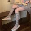 Hollige Envy See-through Balletcore Ribbon Leg Knee Socks Women's Socks