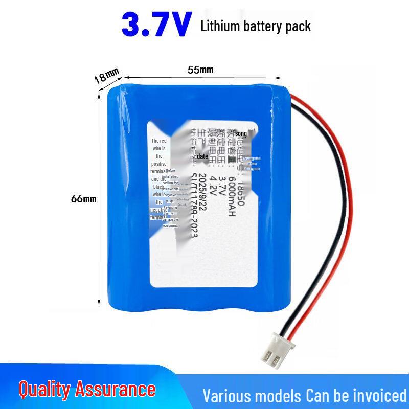 18650 Lithium Battery Pack for Outdoor Speakers CN plug (adapter included)