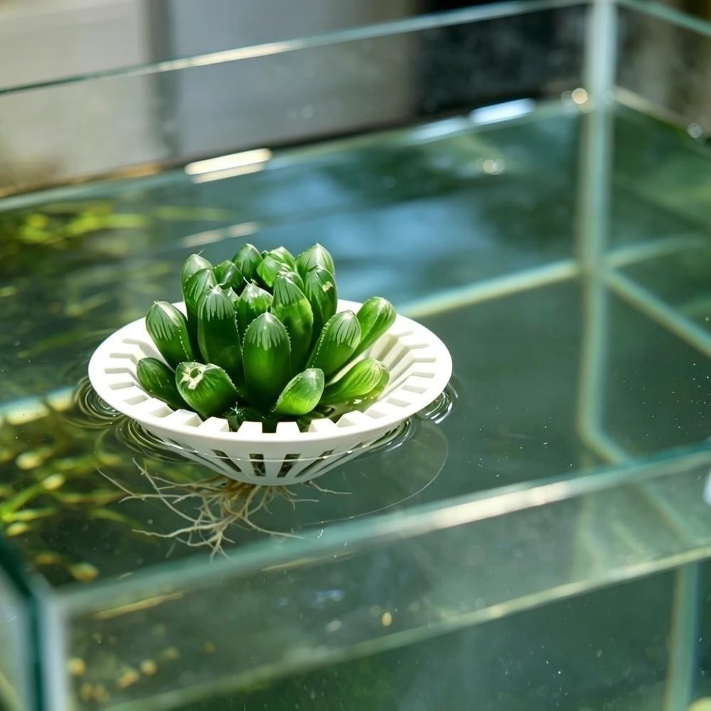 3D Printed Floating Colonization Basket Round Hydroponic Planting Basket Aquatic Environment
