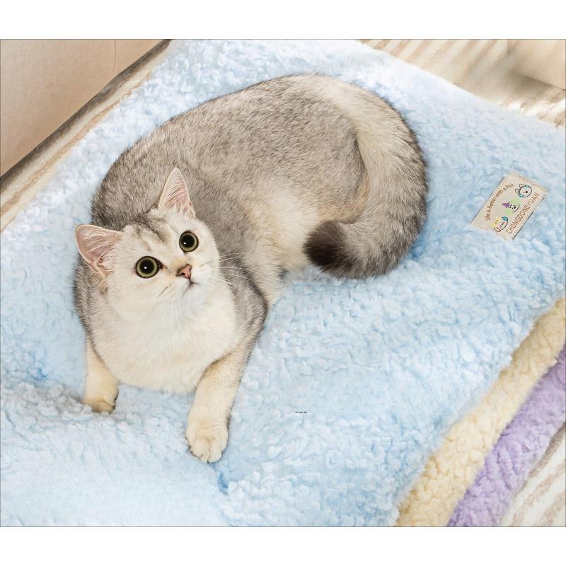 Plush Winter Cat Dog Mat  Thick Furry Sleeping Pad for Small Pets Warm Floor Cushion for Cats & Puppies