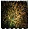 majestic male peacock shower curtain, dark hued feather art, modern print, fabric bathroom decor