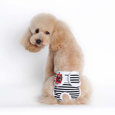 Cute Captain Pet Dog Physiological Pants Panty Sanitary Shorts For Female Male Dog Cat Diapers Underwear Dog Toilet Products