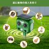 Ultrasonic Animal Crow Pest Alarm Bird Cat Rodent Infrared Detection Range Pest Control Dog USB Solar Standby 5 Repellent IP64 Protection Repellent,