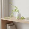 Decorative Dangling Vine Nordic Design Faux Hanging Leaves