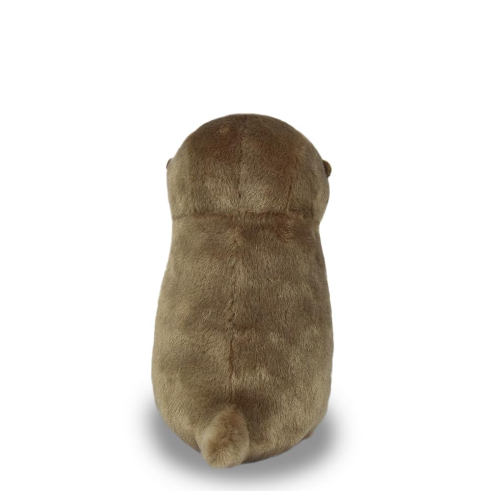 Amuse Otter ST Kogechan 703502 Total Length 17cm Lie-yan Approx.