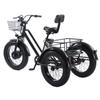 Bicicleta Eléctrica Fat Bike de 20 Pulgadas Nieve Potente para Hombre 48V 500W Triciclo Eléctrico de Carga con Asiento para Pasajero para Adulto Anciano