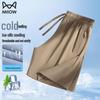 Men's Ice Silk Quick-Dry Casual Shorts
